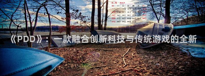 多彩娱乐平台注册资金多少：《PDD》：一款融合创新科技与传统