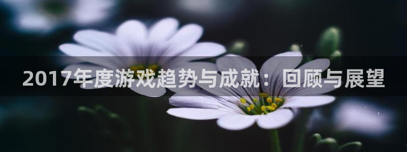 多彩娱乐平台：2017年度游戏趋势与成就：回顾与展望