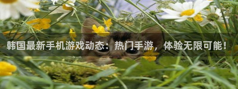 多彩娱乐网址官网：韩国最新手机游戏动态：热门手游，体验无限可