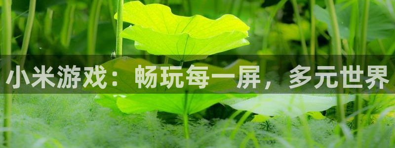 多彩联盟凤凰联盟：小米游戏：畅玩每一屏，多元世界