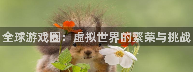 多彩联盟官网注册链接是什么：全球游戏圈：虚拟世界的繁荣与挑战