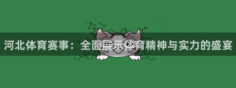 袋鼠体育直播足球
