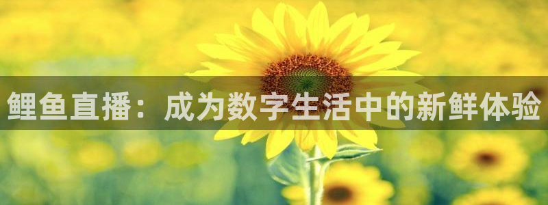 袋鼠直播体育新升级页面.全网通.org