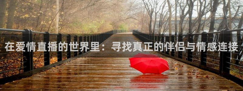 袋鼠体育nba直播
