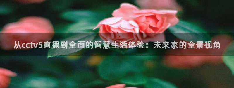 袋鼠在线体育直播