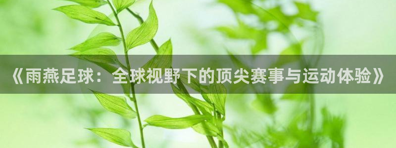 袋鼠体育直播：《雨燕足球：全球视野下的顶尖赛事与运动体验》