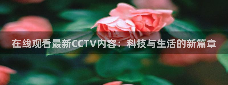 袋鼠直播nba在线看：在线观看最新CCTV内容：科技与生活的新篇章