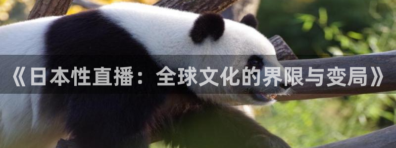 袋鼠体育直播app下载：《日本性直播：全球文化的界限与变局》