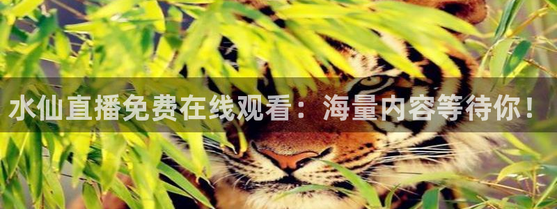 袋鼠体育直播下载：水仙直播免费在线观看：海量内容等待你！