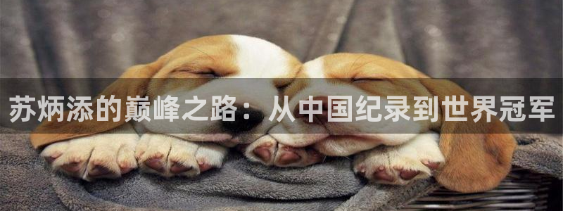 袋鼠直播nba免费观看篮球：苏炳添的巅峰之路：从中国纪录到世界冠军
